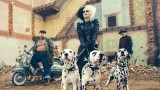 "Cruella" Disney. Emma Stone w filmie o młodości słynnej antagoniski ze "101 dalmatyńczyków"! Zobacz pierwszy zwiastun