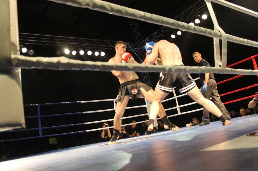 Głogowianie zdominowali Legion Fight Night [Zdjęcia Część 1]