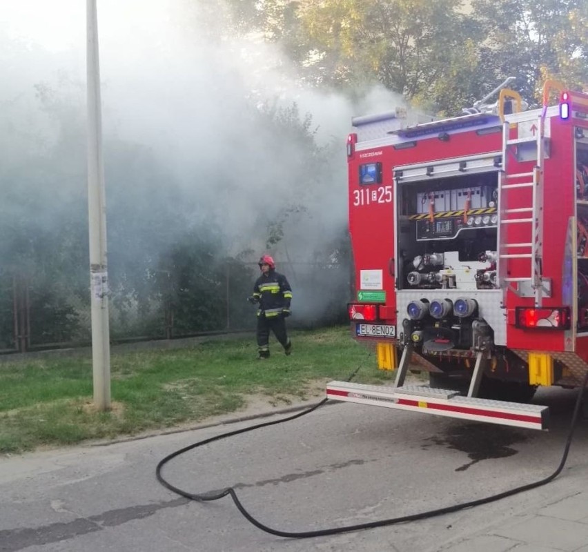 Pożar na Polesiu. Paliły się śmieci i odpady zielone na...