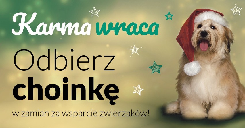 Ruszamy z kolejną odsłoną świątecznej akcji "Karma wraca". Dla darczyńców przygotowaliśmy 350 choinek