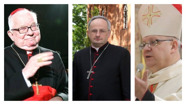Posłanka Joanna Scheuring-Wielgus przekazała papieżowi Franciszkowi raport dotyczący pedofilii w polskim Kościele. Ten sam raport został udostępniony w internecie na stronie fundacji "Nie lękajcie się".Dziś każdy może poznać 24 nazwiska hierarchów, którzy "ukrywali" księży pedofilów. Wśród nich są nazwiska księży z regionu.Zobacz listę w dalszej części galerii >>>