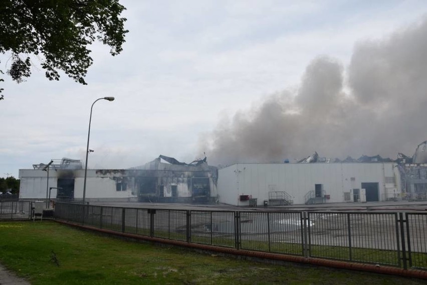 Pożar w Skórczu. Ratownicy wciąż pracują na miejscu pożaru w Iglotexie. Trwa proces spalania amoniaku