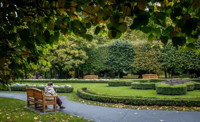 15.10.2017 gdansk.  park oliwski. kolory jesieni.  fot. karolina misztal / polska press/dziennik baltycki