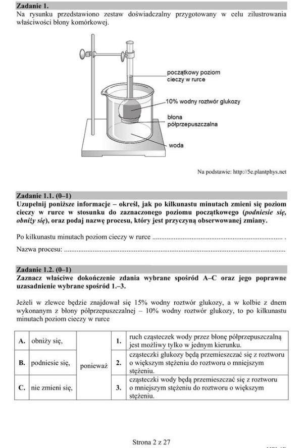 Matura 2019 BIOLOGIA ODPOWIEDZI I ARKUSZ CKE. Matura z biologii rozszerzenie 10.05.2019. poziom rozszerzony 