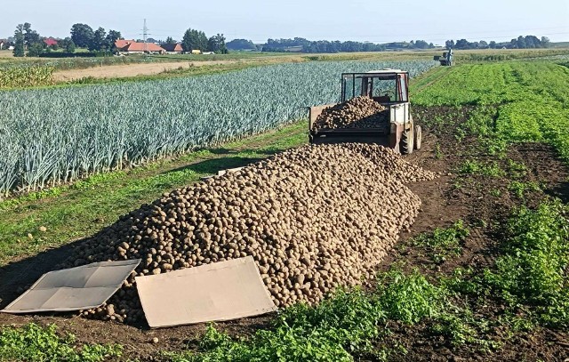W gminie Proszowice stawka podatku rolnego wyniesie w przyszłym roku 185 zł z każdego hektara przeliczeniowego