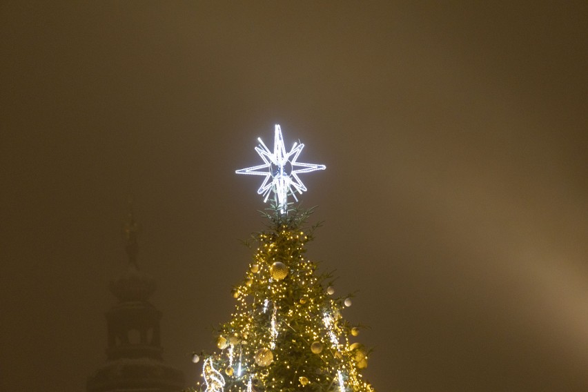 Choinka na Rynku Głównym