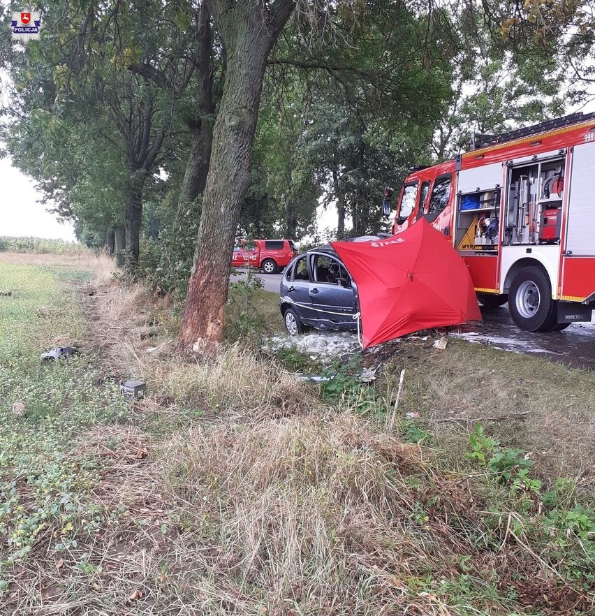 Ryki. Tajemniczy śmiertelny wypadek na drodze. Policja bada przyczyny