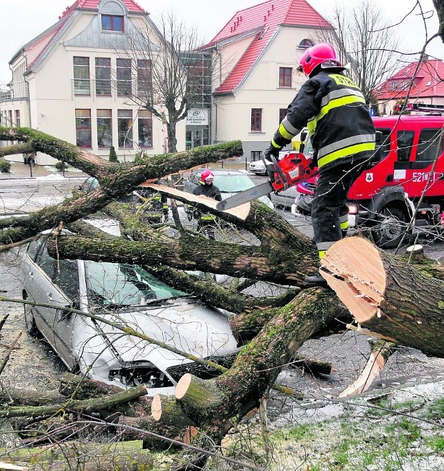 Orkan poczynił duże spustoszenie także w centrach miast.  Na zdjęciu  powalone drzewo w Sławnie, które zniszczyło auto. Na szczęście w pojeździe nikogo nie było, gdy stał on zaparkowany na parkingu