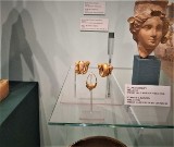 Niezwykła kolekcja starożytności. Nowa wystawa stała w Arsenale Muzeum Książąt Czartoryskich