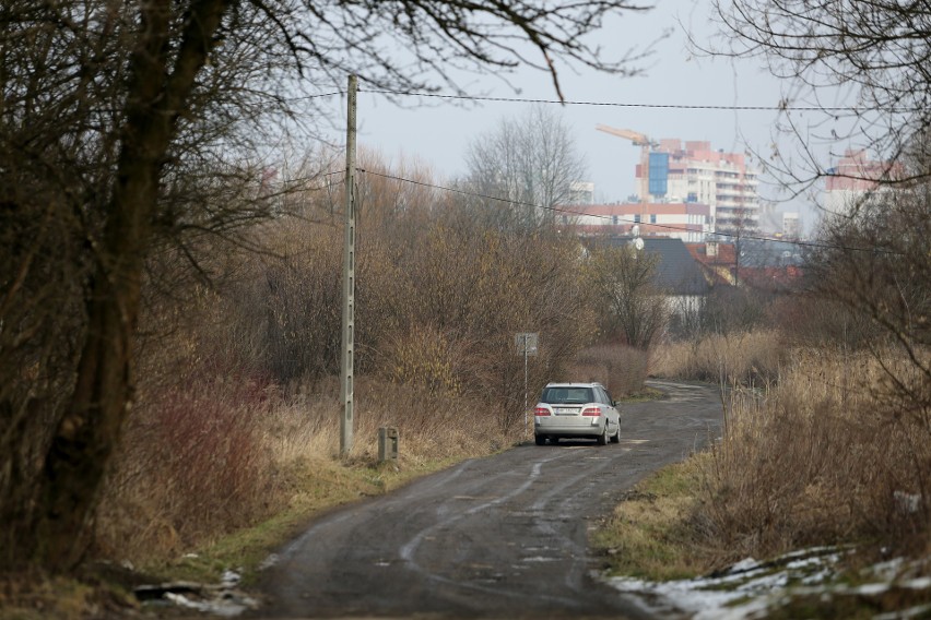 Kraków. Wąż gniewosz namiesza w planach budowy bloków na Zakrzówku?