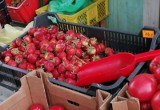 Spór o truskawki. Polskie wcale nie są polskie? Rząd sprawdzi fałszywe produkty. Jak odróżnić krajowe owoce od importowanych?