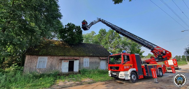 Przewrócone drzewo na dachu świetlicy wiejskiej w Jankowie-Młodzianowie