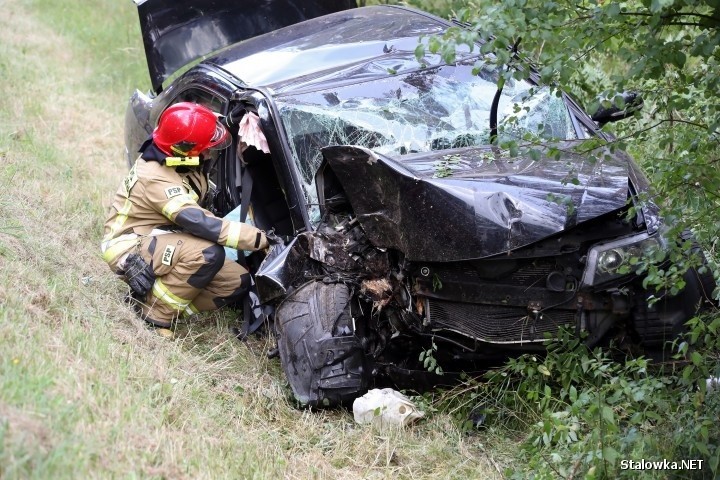 Wypadek na drodze Stalowa Wola - Przyszów. Ranni dwaj mężczyźni, pasażer zakleszczony we wraku [ZDJĘCIA]