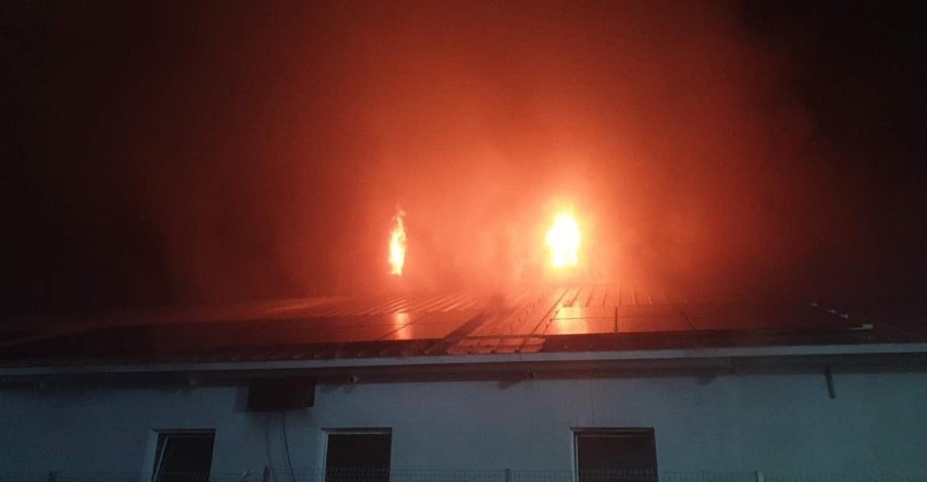 Pożar chlewni w Mydlicie.