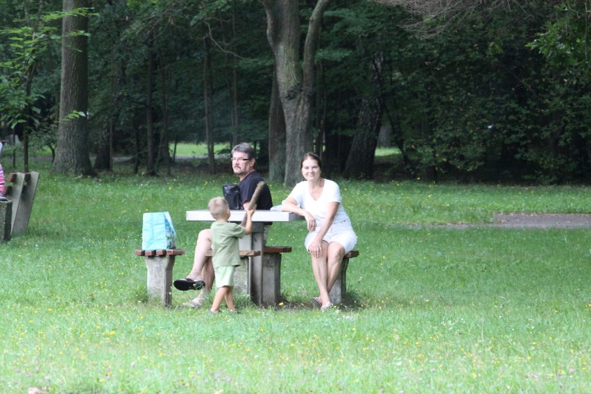 Tak dziś wygląda park Zielona w Dąbrowie Górniczej