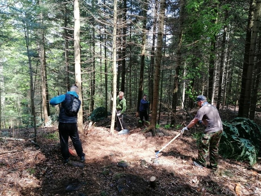 Raj dla rowerzystów! Singletracki powstaną w Nadleśnictwie Łagów [ZDJĘCIA]