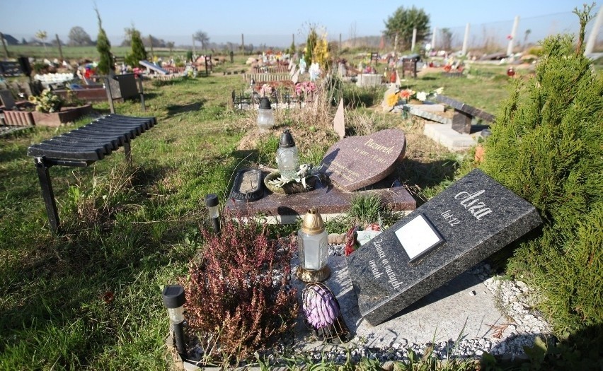 W niektórych miastach w Polsce istnieją cmentarze dla...