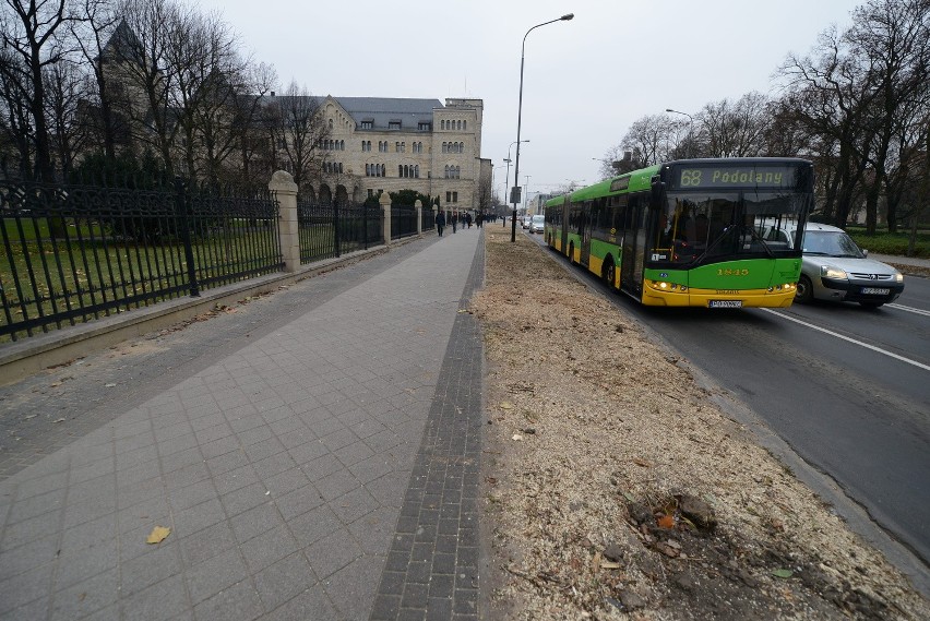 Po topolach na al. Niepodległości nie ma już śladu