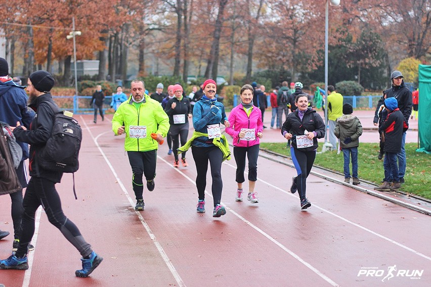 Bieg z Wąsem 2016, Wrocław