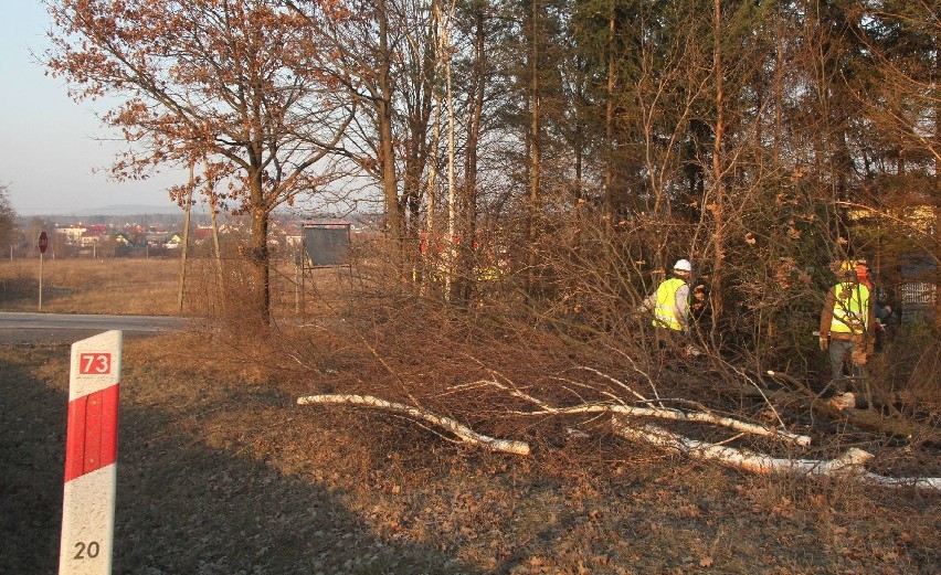 Początek prac przy budowie pierwszego etapu obwodnicy Morawicy w ciągu drogi krajowej numer 73. Zaczynają od wycinki drzew
