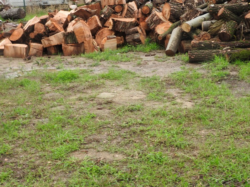 Na licytacji można będzie kupić drewno opałowe mieszane (z...