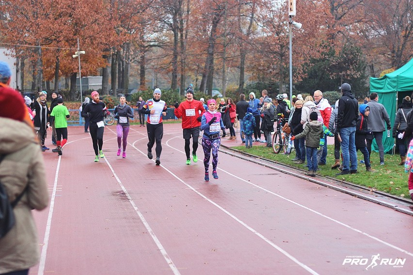 Bieg z Wąsem 2016, Wrocław