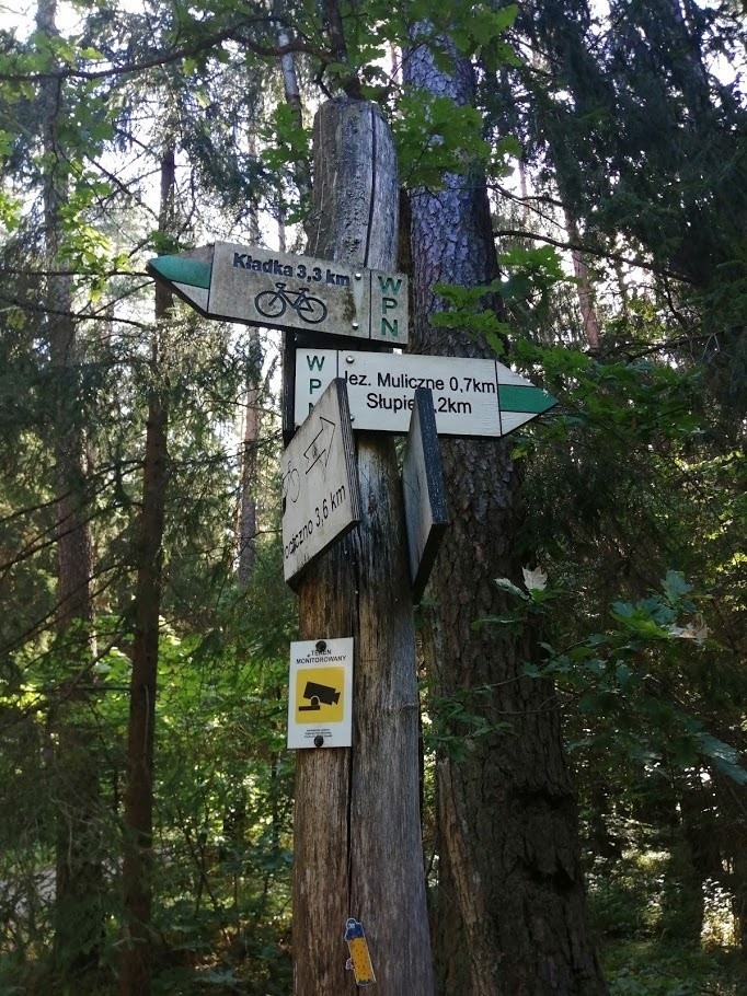 Wigierski Park Narodowy. Trwają prace nad oznakowaniem rowerowego szlaku zielonego wokół Wigier (zdjęcia)