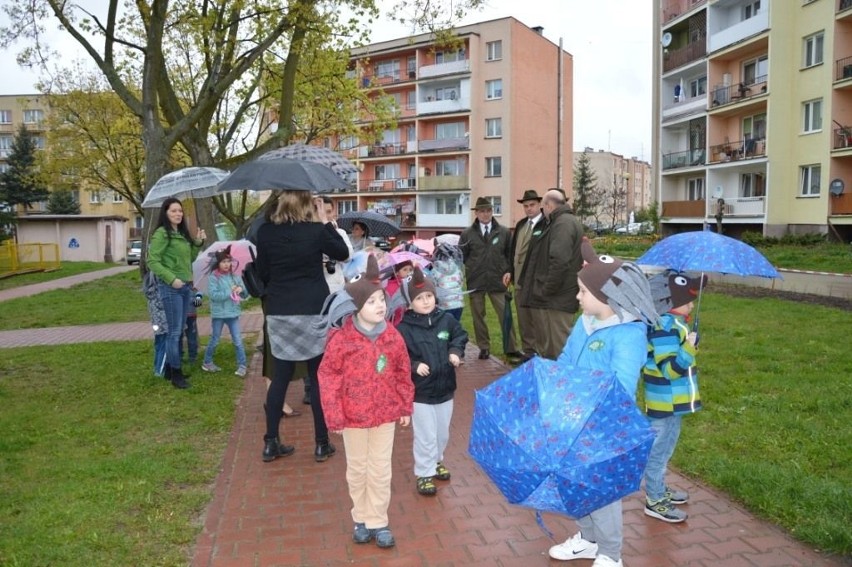 Akcja "1000 drzew na minutę" w Staszowie