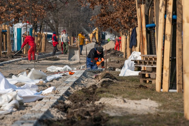 Aktualnie w alei dębowej na ścieżkach układane są obrzeża z granitowej kostki. Trwają też prace związane z przebudową pobliskiego skrzyżowania.