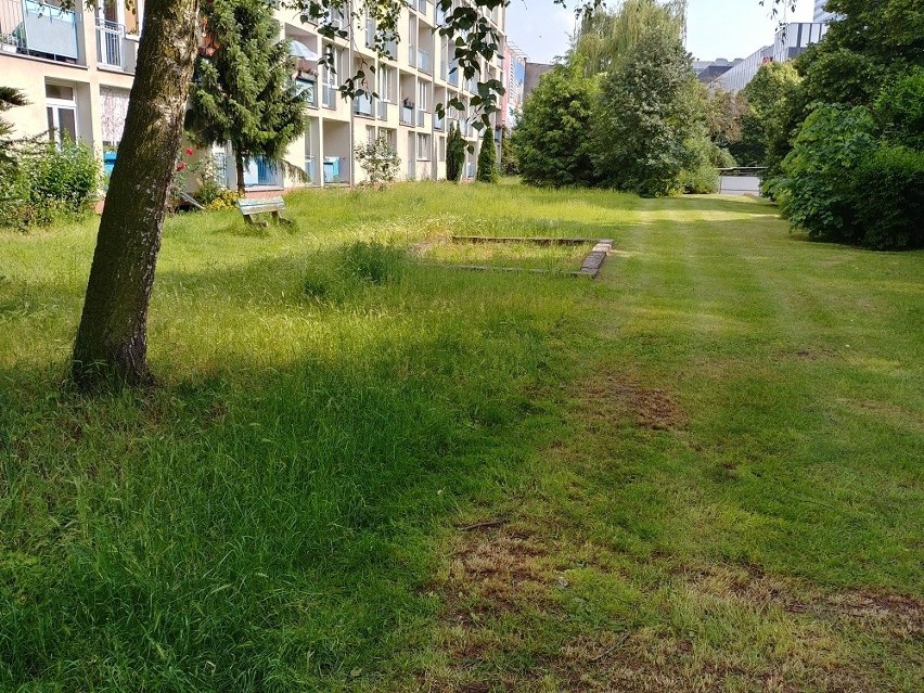 Malczewskiego: Trawa skoszona na pół. Każdy pilnuje swego