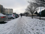 Oblodzone chodniki i parkingi. Atak mrozu w Pabianicach ZDJĘCIA