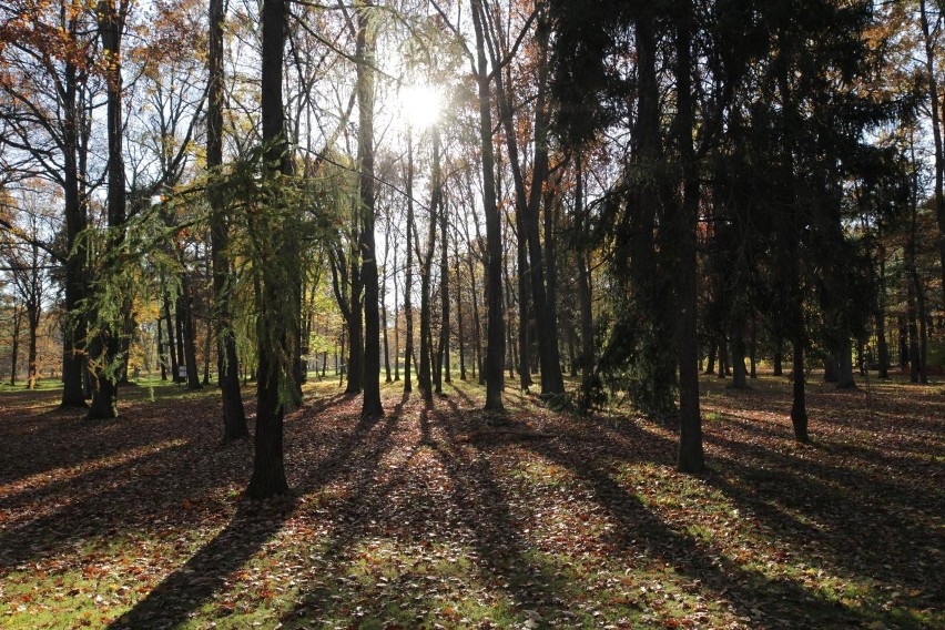 Park w Świerklańcu jesienią.