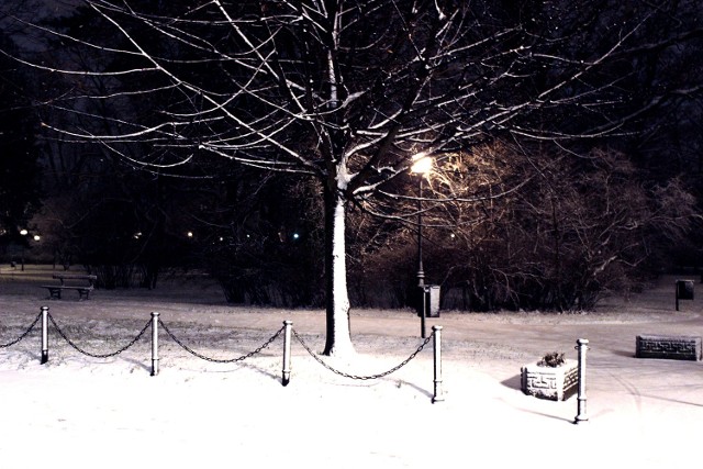 Zima w Łodzi 2013