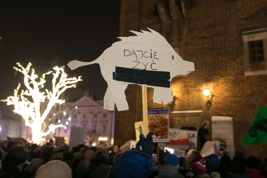 Dziki protest w obronie dzików w Krakowie. "Dzik czuje, tak jak kot prezesa", "Strzel se w łeb" [ZDJĘCIA]