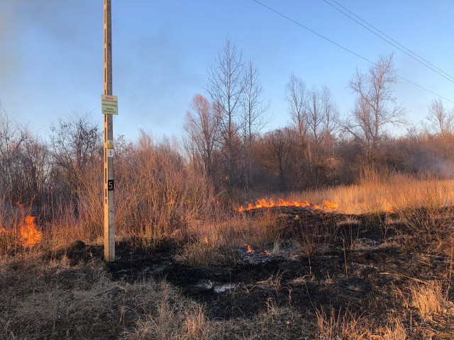 Pożar traw w jednej z miejscowości w gminie Wierzbica.