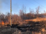 Plaga pożarów traw i nieużytków w Radomiu oraz miejscowościach powiatu radomskiego