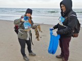 69 worków z odpadami na plaży! By pokazać problem zaśmiecenia, organizują akcję sprzątania plaż [ZDJĘCIA]