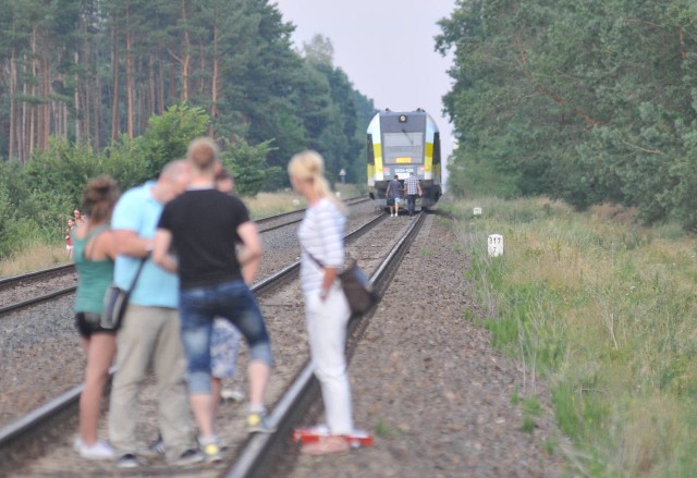 Na przestrzeni ostatnich lat na lubuskich przejazdach kolejowych i tzw. "dzikich" przejściach przez tory dochodziło do makabrycznych wypadków. Wiele z nich kończyło się tragicznie, inne skutkowały poważnymi obrażeniami ciała lub trwałym kalectwem. Niektóre wypadki to efekt samobójstw, inne to nieuwaga pieszych i kierowców.W niedzielę, Zobacz też:  4 września, na torach niedaleko Witnicy doszło do śmiertelnego potrącenia kobiety przez pociąg. Trasa Kostrzyn-Krzyż, na której doszło do tragedii, to jeden z najbardziej krwawych szlaków kolejowych w województwie lubuskim. Wystarczy rzucić okiem na przygotowaną przez nas interaktywną mapę, aby przekonać się, jak wiele wypadków wydarzyło się na tym odcinku w ostatnim czasie.W 2014 r. na przejazdach kolejowych w Lubuskiem doszło do siedmiu wypadków. Dwa zakończyły się śmiertelnie, w dwóch były osoby ranne, a w trzech przypadkach skończyło się bez obrażeń. W 2014 r. zdarzyły się też trzy wypadki na tzw. "dzikich" przejściach przez tory. Wszystkie trzy zakończyły się tragicznie. W 2015 r. na przejazdach kolejowych były cztery wypadki, nie było ofiar śmiertelnych, jedna osoba została ranna, a w trzech przypadkach takie wypadki zakończyły się bez obrażeń. W 2015 r. doszło też do 11 wypadków na "dzikich" przejściach przez tory. Aż osiem osób poniosło w nich śmierć.Zobacz też:  Zginęła na oczach ludzi. Tragiczny wypadek w WitnicyPieszy w konfrontacji z pociągiem nie ma żadnych szans. Podobnie jak szans na wyhamowanie nie ma maszynista, który zauważa człowieka na torach w ostatnim momencie. Takie wypadki niemal zawsze kończą się makabrycznie. Wystarczy przeczytać raporty, przygotowywane przez straż ochrony kolei, aby przekonać się o skutkach takich wypadków. Odcięte kończyny, zmiażdżone głowy, zmasakrowane ciała - tak wyglądają skutki wypadków na torach.Do wielu tragedii dochodzi przez nieuwagę pieszych i kierowców. Dlatego trzeba pamiętać, aby zawsze przy pokonywaniu torów kolejowych zachować szczególną ostrożność. Dotyczy to przede wszystkim niestrzeżonych przejazdów kolejowych. Zanim pokonamy taki przejazd, należy zawsze zatrzymać się i upewnić, czy przypadkiem nie nadjeżdża pociąg.Zobacz też:  Śmiertelny wypadek w Białczu. Rowerzysta wpadł pod osobówkę