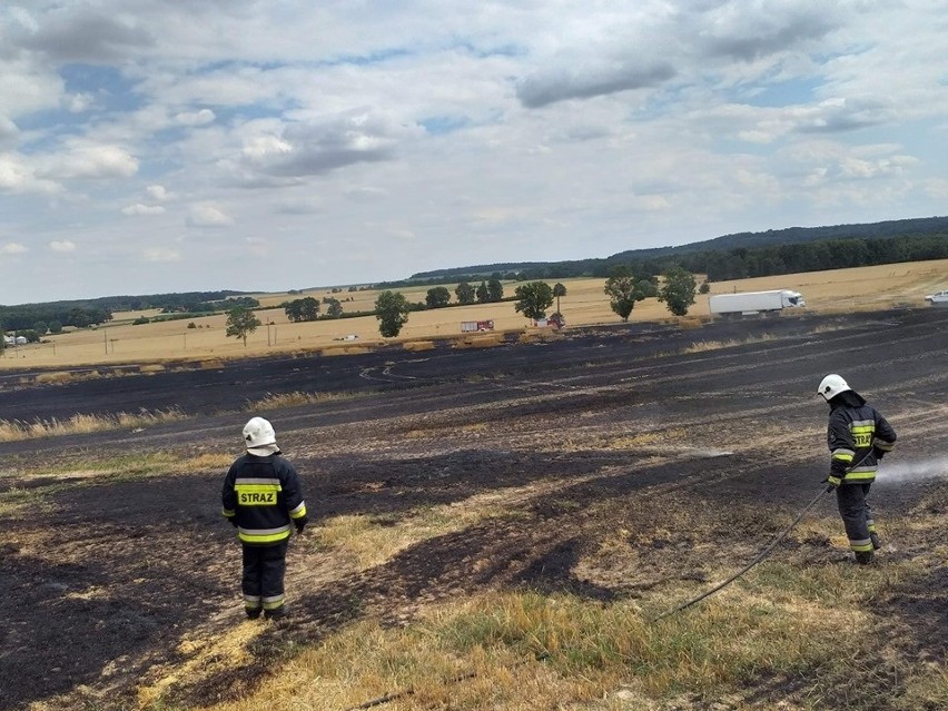 Potężny pożar zboża. Spłonęło 12 hektarów [ZDJĘCIA]