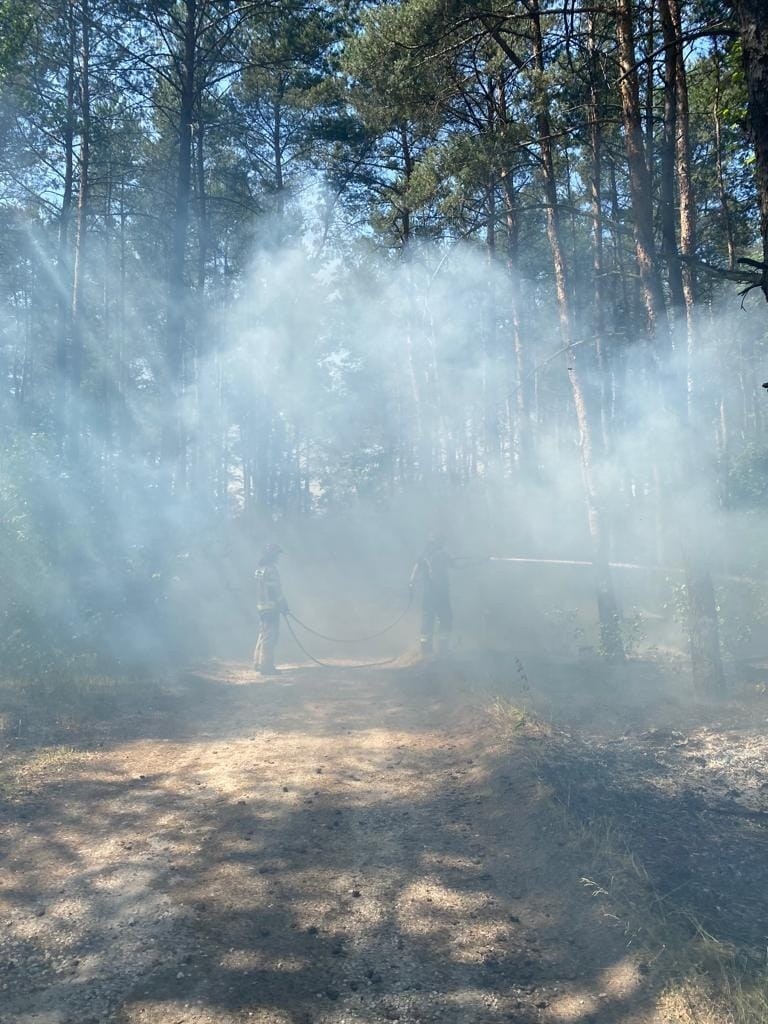 Ogień w lesie w Małej Nieszawce. To już kolejny pożar w ostatnich dniach