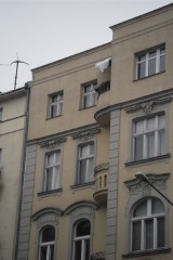 Poznań: Niebezpieczny śnieg na dachu? Zgłoś to!