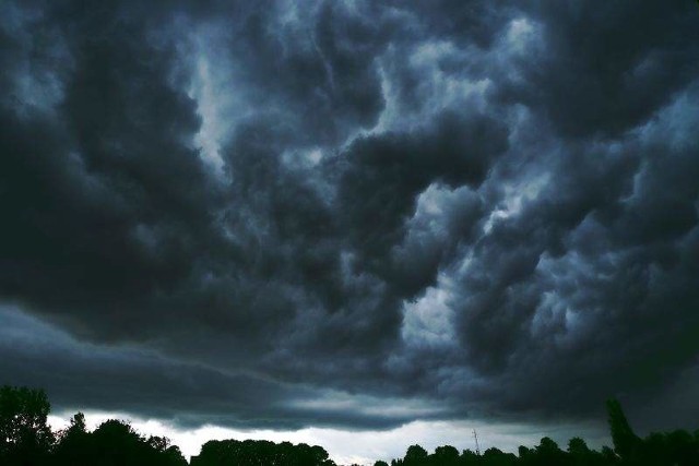 Centralne Biuro Prognoz Meteorologicznych Zespół w Białymstoku przestrzega przed silnym wiatrem. Pierwszy stopień zagrożenia