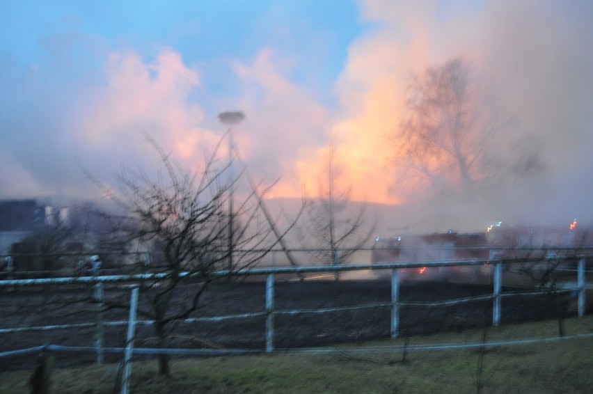 Pożar stadniny koni w Karolewku.