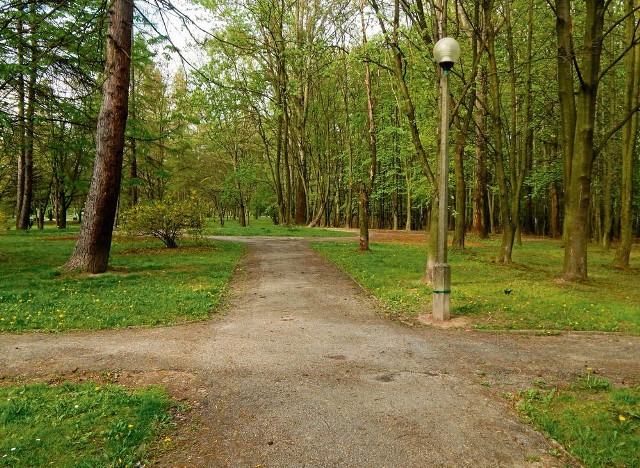 Park jest zaniedbany i mocno zadrzewiony. Przypomina las