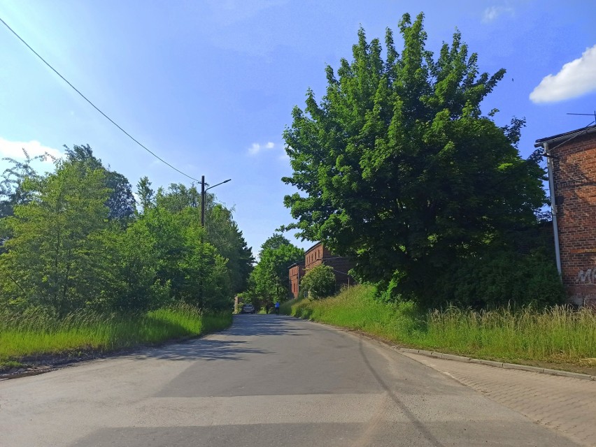 Zobacz kolejne zdjęcia. Przesuwaj zdjęcia w prawo - naciśnij...