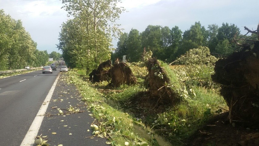 Burza w Bielsku-Białej: Powalone drzewa, zalane drogi