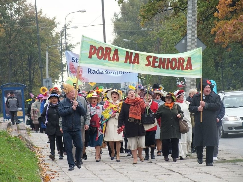Udany I Dzień Seniora w Starachowicach (WIDEO, zdjęcia)
