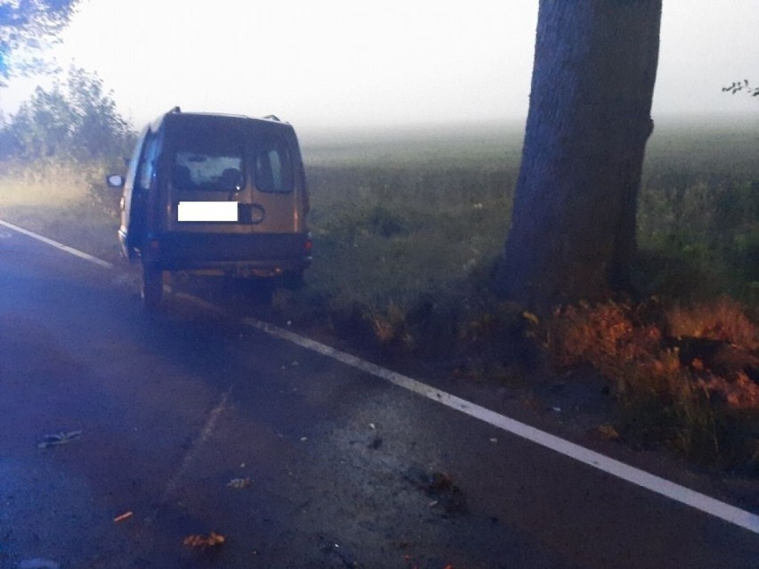 Kierzkowo (pow. wejherowski). Samochód wjechał prosto w drzewo. Mężczyzna został poszkodowany. ZDJĘCiA