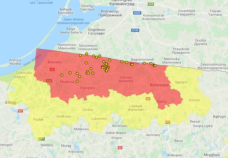 Wirus ASF w Polsce. Mapa wykrytych przypadków zachorowań na...