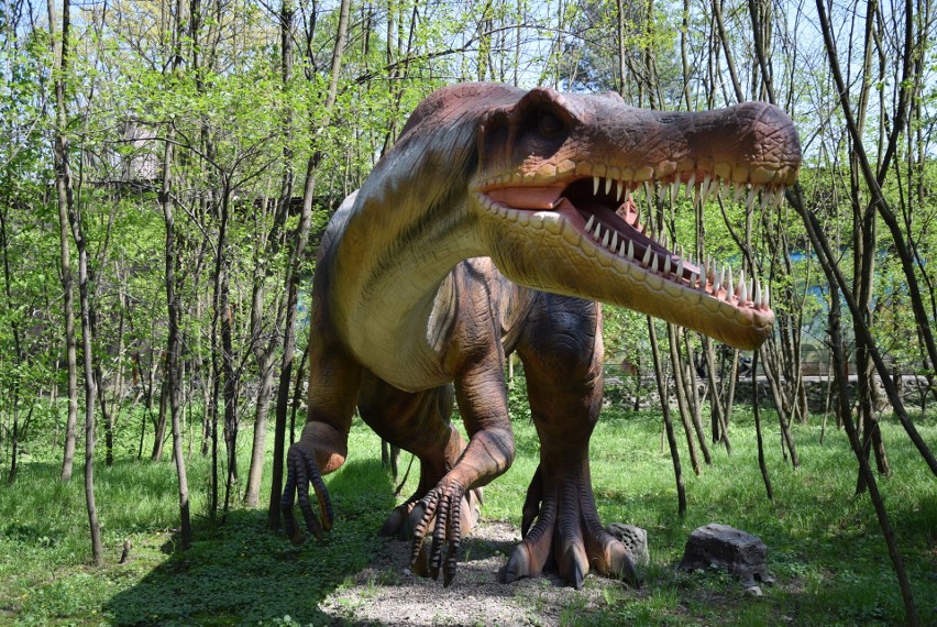 Z zimowego snu obudziły się dinozaury w Zatorlandzie. Dołączył do nich największy jaki żył i jaki wybudowano na świecie [ZDJĘCIA, WIDEO] 